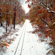 Illustration for article titled 18 Snowy Photographs That Will Make You Love Winter Again